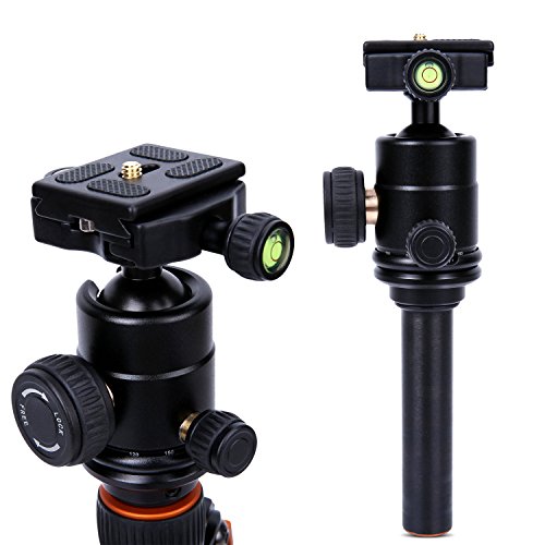 Beaspire Portable Camera Travel Tripod Folding Monopod with 360 Degree Ball Head for Canon Nikon Sony DSLR Cameras,Smartphones