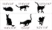 6 Cats Wall Decals in Life Size!