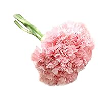 CDJX Artifical Carnation Flowers,6 Pcs Real Looking Fake Flowers Bouquet UV Resistant Plants Faux Plastic Greenery Shrubs for Wedding Anniversary Garden Home Outdoor Festival Party Decor Pink