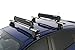 Rhino-Rack Carrier for Skis, Snowboards, Fishing Rods, Paddles, Skateboards, Water Skis, Wakeboard & More, Universal Mounting, Easy to Use, Locking, Lightweight & Heavy Duty, Suitable for All Vehicles