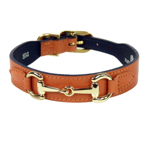 gucci dog collar amazon