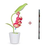 fingerlings accessories