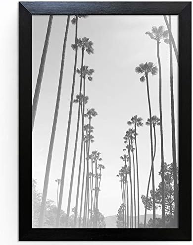 A4 / 21x29.7cm Oxford Black Photo Frame - GLASS Window - Thin Picture Print Certificate Frame - Portrait & Landscape/Width Of Frame 2cm