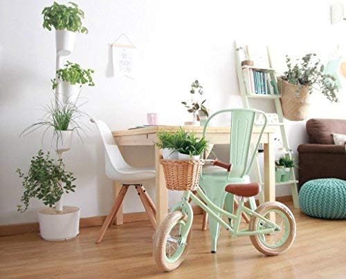 Citysens- Kit Huerto Urbano Vertical con autorriego Inteligente ...