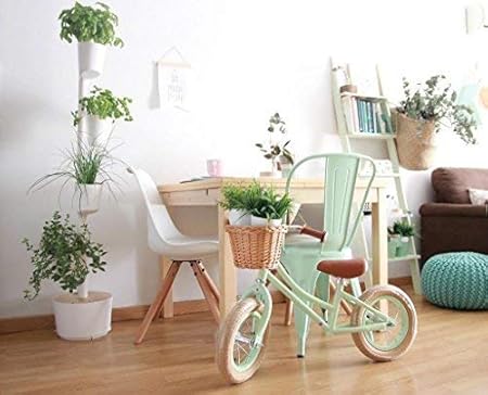 Citysens- Kit Huerto Urbano Vertical con autorriego Inteligente ...