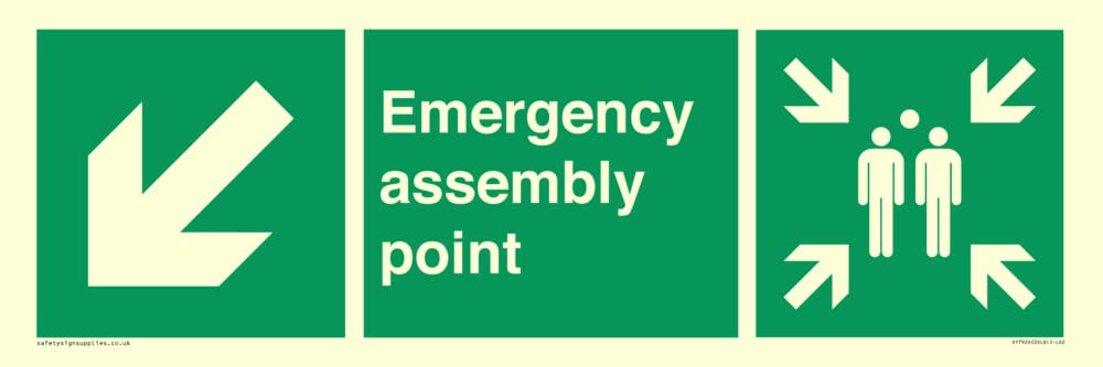 Emergency assembly point directional Down left arrow Sign - 600x200mm - L62