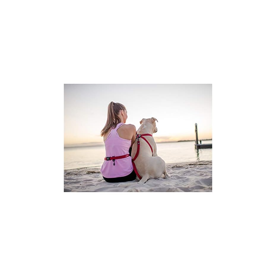 EzyDog Jogging Hundeleine für Kleine und Mittelgroße Hunde