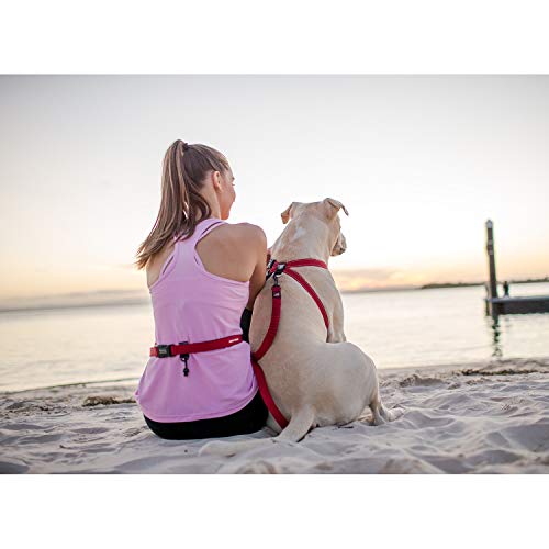 EzyDog Jogging Hundeleine für Kleine und Mittelgroße Hunde