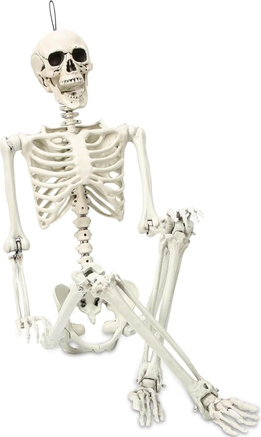 Photo 1 of Abakuku 5.4 ft Posable Halloween Skeleton Decorations,Human Bones for Halloween Party with Movable Joints,for Haunted Houses, Front Lawn, Graveyard Props