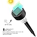 Cellay Solar Powered LED Garden Lights [ 10 PACK ] Perfect White Light Design, Garden Pathways Landscape Night Lighting