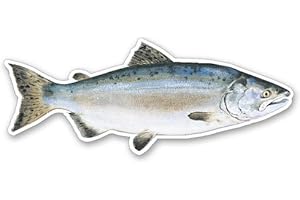 GT GRAPHICS EXPRESS Pink Alaskan Salmon - Vinyl Sticker Waterproof Decal