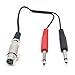 6.35mm to XLR Cable - Riipoo 20 cm 6.35mm Male to XLR Female Stereo Audio Microphone Adapter Cable, 2 Dual 1/4 TS 6.35mm Mono Male to XLR Female Splitter Cable