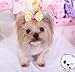 CellElection 40Pcs/20Pairs Dog Hair Bows with Rubber Bands Classic Dog Bows for Small Dogs Pet Gromming Products Dog Hair Accessories