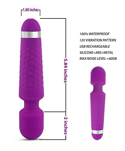 LoveI Silicone USB Rechargeable 12 Speed Vibrating Personal Massager (Purple)