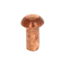 Aicosineg 20pcs 0.63" Length Copper Solid Rivets M8
