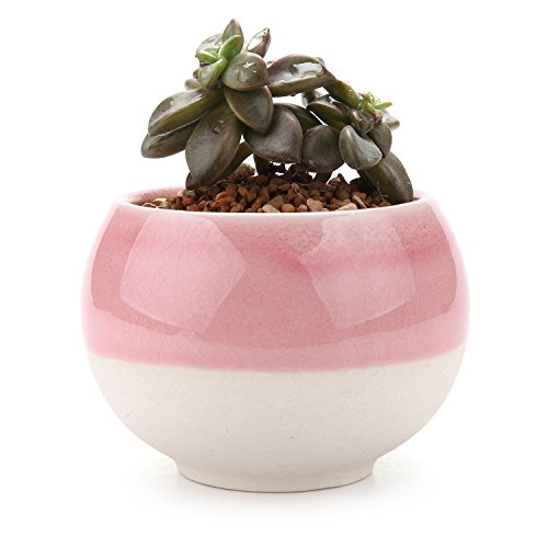 T4u 3"ball shape sucuulent cactus plant pots flowe…