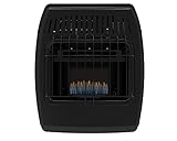 Dyna-Glo IBF10PMDG 10,000 BTU Liquid Propane Blue Flame Vent Free Ice House Heater