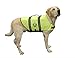 Paws Aboard Dog Life Jacket - Swimming Vest for Dogs, Adjustable, Reflective, Comfortable, Multiple Colors, Patterns, XX-Small to Extra Large Dog Swim Vest with Handle (Neon Yellow, X-Large)
