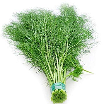 Fash Lady Europe Fragrant Bulb Fennel Seeds Fresh and Green Organic Vegetable Foeniculum Dulce Anise-Flavored Crispy Fennel 100 Seeds/Bag