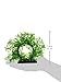 Jardin Plastic Curve Design Fish Tank Aquarium Green Artificial Water Plant Ornament, 6-Inch