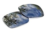 Polarized Black Iridium Replacement Lenses For Oakley Holbrook