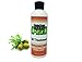 Nit Free Shampoo, 8oz Olive Oil Based