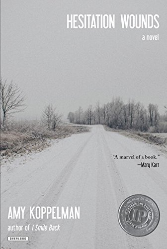 Hesitation Wounds: A Novel