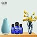Frangipani Oil (Plumeria) 100% Natural, Organic & Vegan Frangipani Essential Oil | Pure Frangipani Oil by Eco Aurous