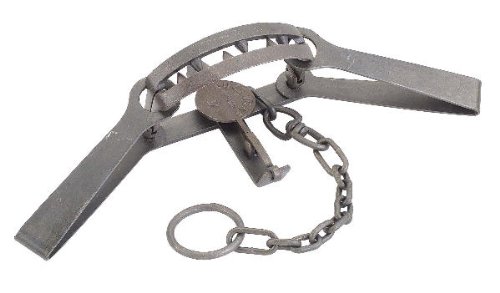 #15 Grizzly Bear Trap