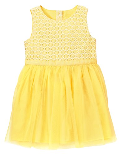 Gymboree Baby Toddler Girls Lace Dress With Tulle Sun Shower | Desertcart  BAHRAIN