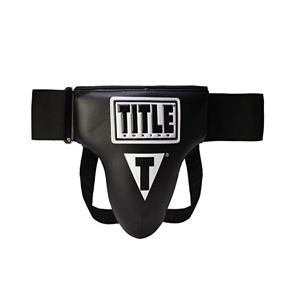 TITLE Boxing Groin Protector