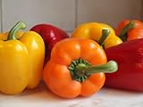 Tasty Colorbell Pepper 4 Live Plants - Green/Yellow/Purple/Red