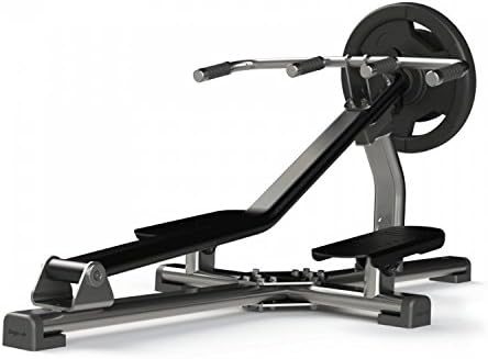 Exigo Standing T-Bar Row