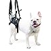 Walkin' Lift Rear Dog Harness