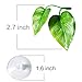 CousDUoBe 2 Pack Betta Fish Leaf Pad Improves Betta’s Health by Simulating The Natural Habitat – Natural, Organic, Comfortable Rest Area for Fish Aquariumthumb 2