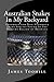Australian Snakes In My Backyard: Fascinating Fun Question And Answer Facts About Australian Snakes In The Western Region of Brisbane Queensland Australia by James Toohill