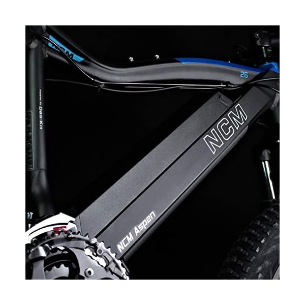 NCM Aspen Bicicletta elettrica, E-Bike 