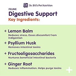 Dr. Bill’s Feline Digestive Support | Probiotics