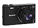 Sony DSC-WX300/B 18.2 MP Digital Camera with 20x Optical Image Stabilized Zoom and 3-Inch LCD (Black)