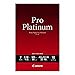 Canon Photo Paper Pro Platinum, 13 x 19 Inches, 10 Sheets (2768B018) primary