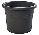 Bloem PP0800 Posy Planter, 8-Inch, Black