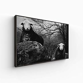 Canvas Wall Art for Living Room, Bedroom Scenery Framed Canvas Prints for Home Decoration Ready to Hang - 16x24 inches