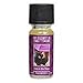 Bridgewater Candle Fragrance Oil Kiss In The Rain