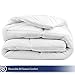 Bare Home Twin Extra Long Microplush Mattress Topper - Pillow Top Reversible - Mattress Cover - Dual Sided All-Season - 8