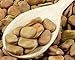 Organic Fava Beans, 3 Pounds - Broad Beans, Non-GMO, Kosher, Raw, Sproutable, Dried Vicia Faba, Bulk Seeds, Sirtfood, Product of the USA