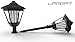 Solar Lights 2 Pack