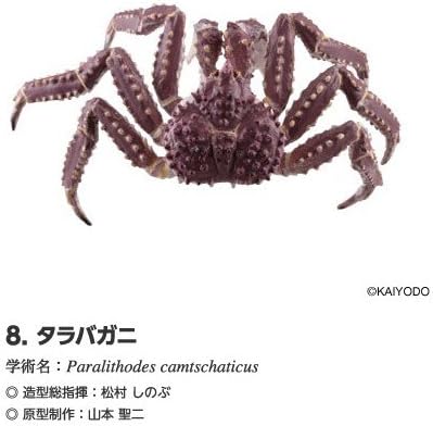 Amazon Co Jp 北海道ランド フィギュアストラップ 8 タラバガニ 単品 海洋堂 北海道 限定 グッズ フィギュア カニ 8 おもちゃ 通販