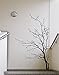 Stickerbrand© Nature Vinyl Wall Art Bare Tree Branch Wall Decal Sticker - Black, 60