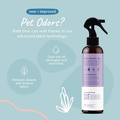kin+kind Dog Deodorizing Spray Safe, Natural, & Easy to Use Pet Odor