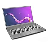 MSI Creator 17M A10SE-216 17. 3" 144Hz FHD Creator